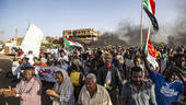 Sudan: guerra, fame e migrazioni