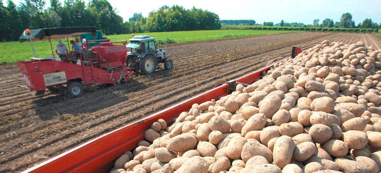 Arzene: come produrre con meno acqua e fertlizzante. Copropa a convegno