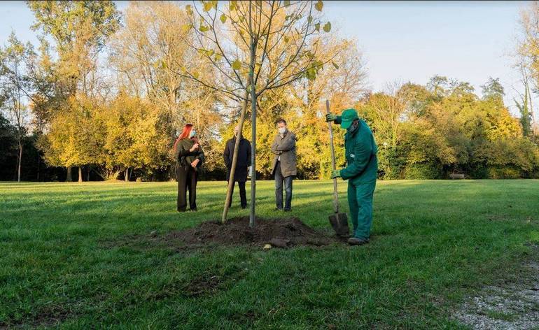 Progetto Pordenone respira con 2500 alberi