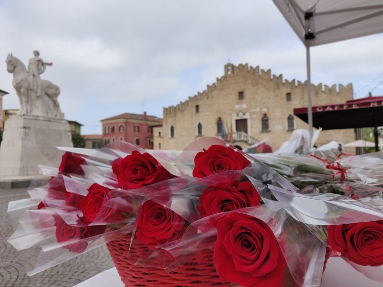 Questo 25 aprile il Bocolo di San Marco torna nelle piazze del ...