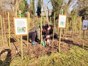 I ragazzi coinvolti nel progetto al lavoro 